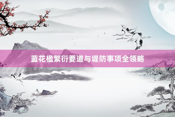 蓝花楹繁衍要道与堤防事项全领略